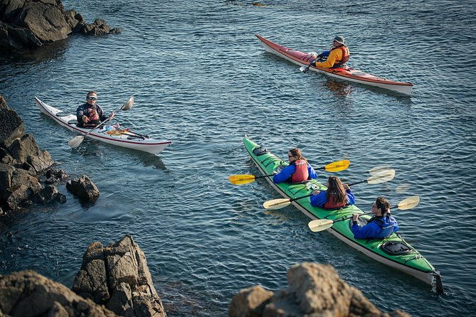3-hour-sea-kayak-tour-in-the-san-juan-islands