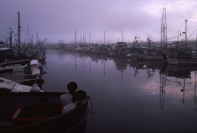3-hours-electric-bike-tour-of-seattles-waterways-nature-and-neighborhoods
