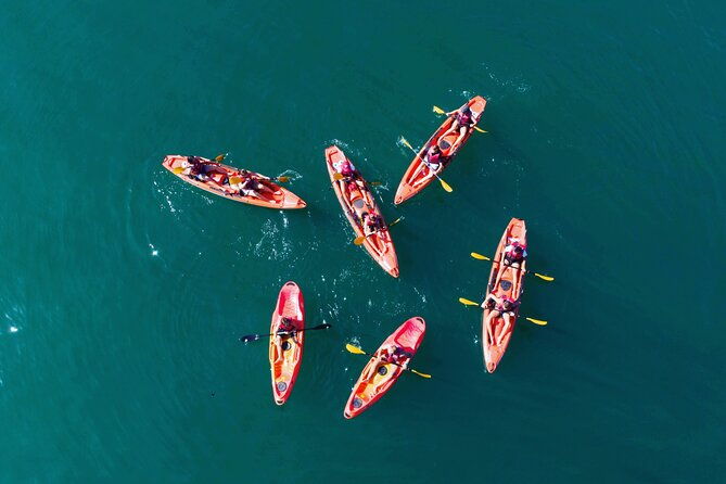 3-hours-kayaking-in-kotor-bay-in-montenegro