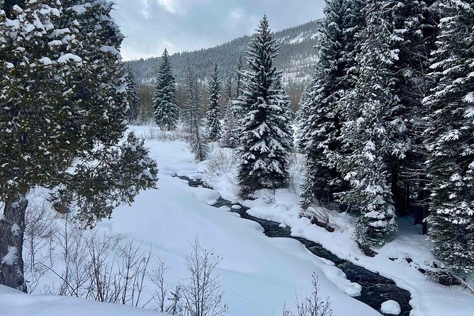 3-hours-park-city-snowmobile-adventure