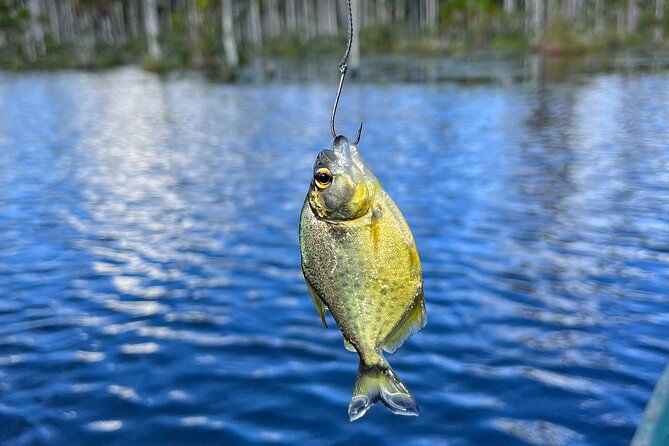 3-hours-private-piranha-fishing-in-lake-yacumama