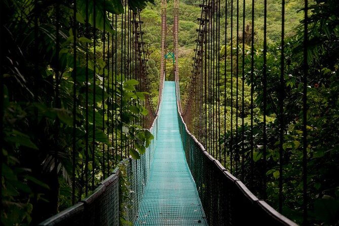 3-in-1-combo-la-fortuna-waterfall-hanging-bridges-thermal-spa-from-san-jose