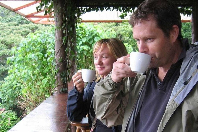 3-in-1-monteverde-cloud-forest-coffee-chocolate-and-sugar-cane-tour