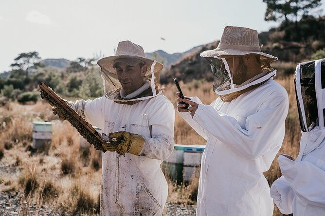30-minute-guided-honey-tasting-activity-in-melini