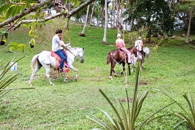 1-1-2-hours-tour-horseback-riding-and-visiting-the-beach