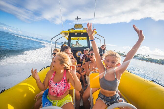 1-5-hour-guided-whale-and-marine-life-tour