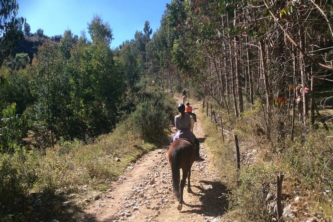 1-5-hr-horseback-riding-montevideo-uruguay-with-transportation
