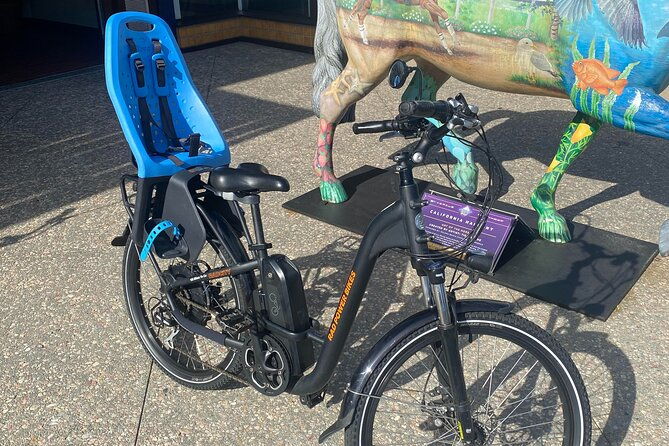 1-day-electric-bike-rental-in-solana-beach
