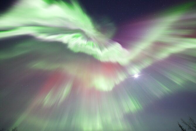 1-day-shared-tour-arctic-circle-and-aurora-viewing-in-alaska