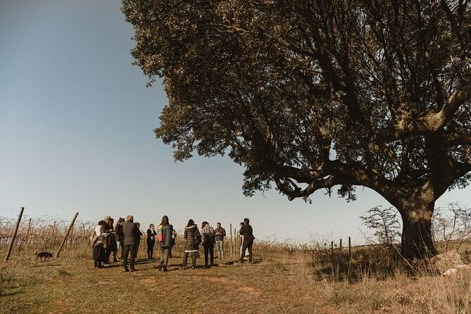 1-day-wine-tour-around-evora-2