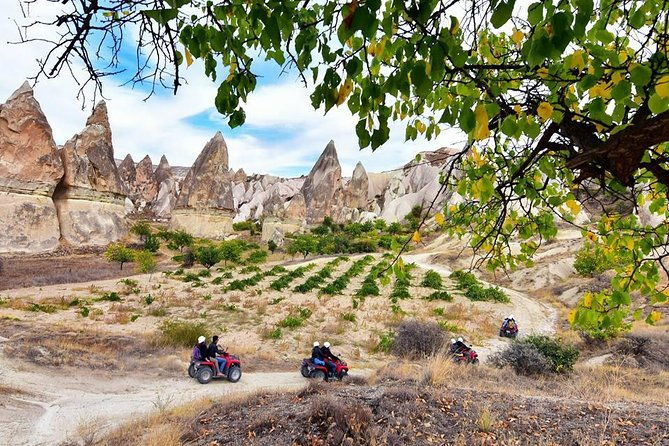 1-hour-atv-tour