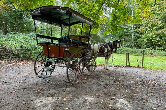1-hour-guided-carriage-tour-in-killarney-national-park