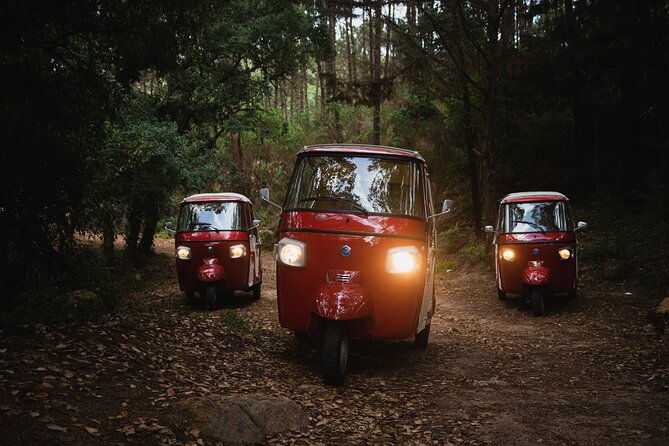 1-hour-private-tuk-tuk-tour-in-sintra