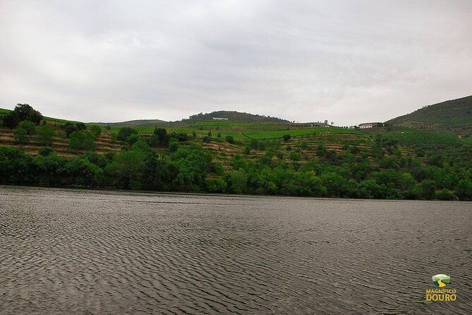 1-hour-rabelo-boat-trip-in-pinhao-2