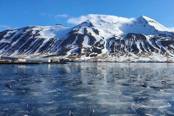 1-hour-siglufjordur-stroll