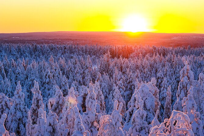 1-hour-snowmobile-safari-adventure-in-rovaniemi-2