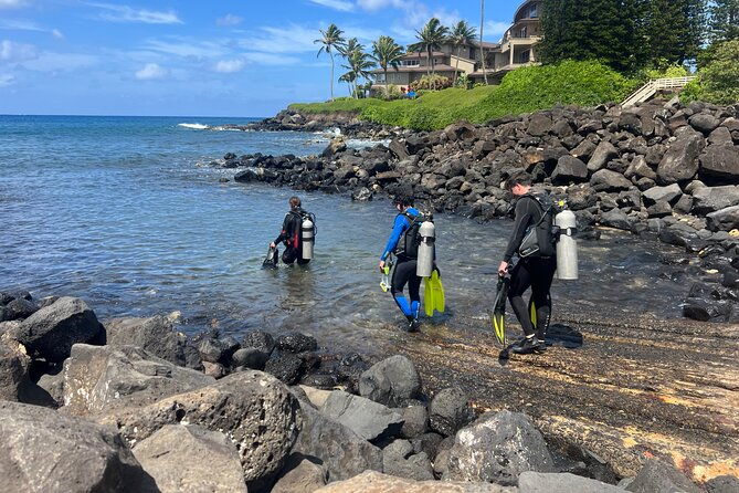 1-tank-discover-scuba-at-koloa-landing-with-no-experience-needed