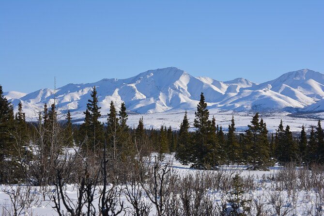 10-hours-denali-winter-drive-in-alaska