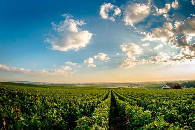 100-champagne-lover-tour1-iconic-house-visit3-tastings-lunch