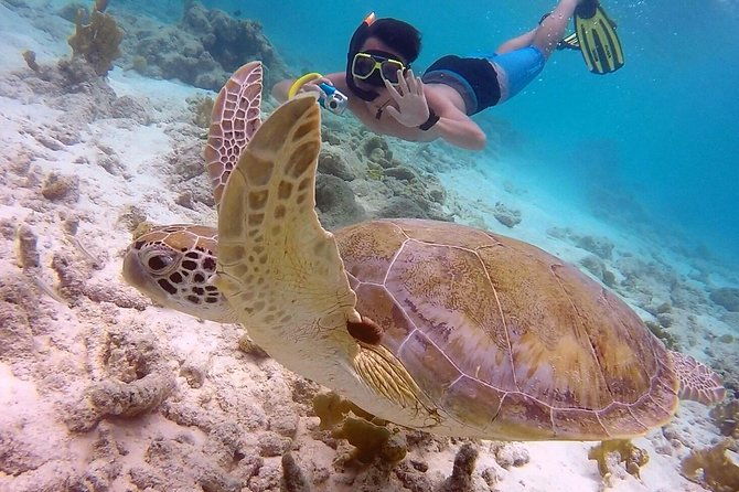 100-private-charter-snorkel-sail-relax-cruisers-friendly
