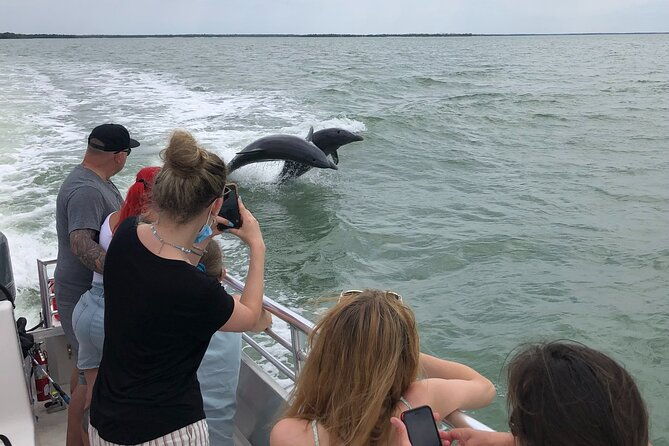 10000-islands-excursion-small-group-3-5-hour-dolphin-shelling-boat-tour