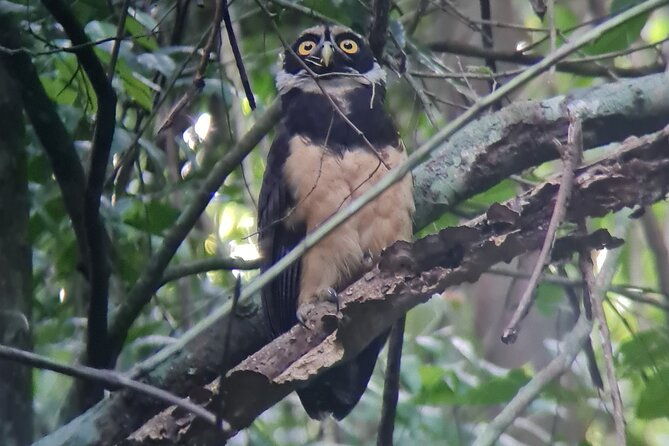 2-3-hour-manuel-antonio-park-nature-guided-tour