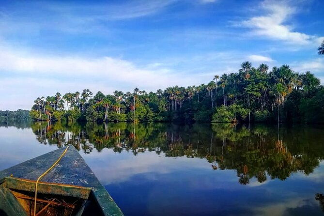2-day-jungle-tour-lake-sandoval-monkey-island-hikes-caiman-clay-lick