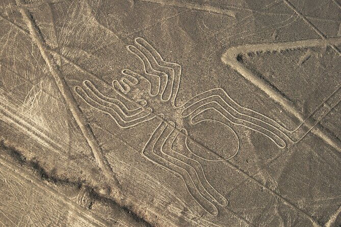 2-day-tour-from-lima-nazca-lines-flight-paracas-and-huacachina