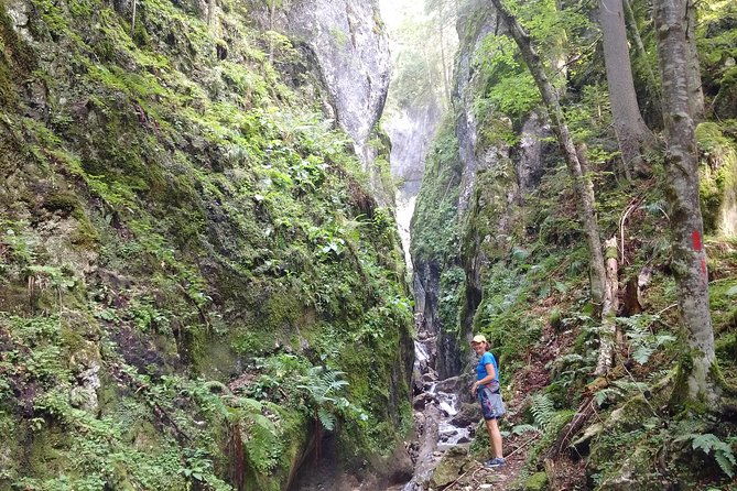 2-day-transylvania-culture-trek-from-brasov-small-group-tour