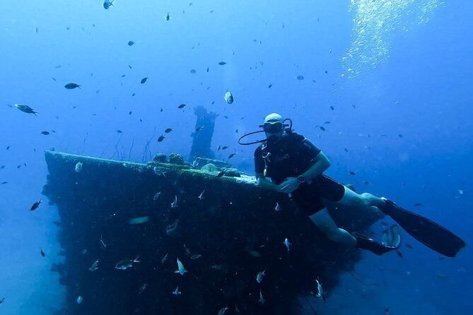 2-guided-shore-dives-in-curacao