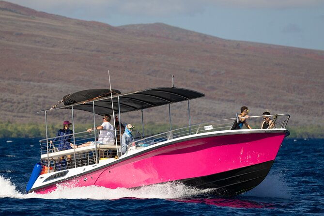 2-hour-afternoon-lahaina-whale-watch