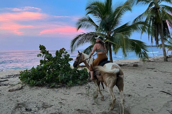 2-hour-beach-horse-back-riding-in-puerto-viejo