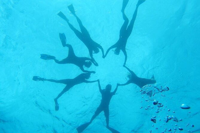 2-hour-dolphin-watching-and-double-reef-with-snorkel-in-hawaii-2