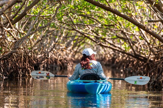 2-hour-guided-kayak-tour-in-boca-ciega-bay-st-pete