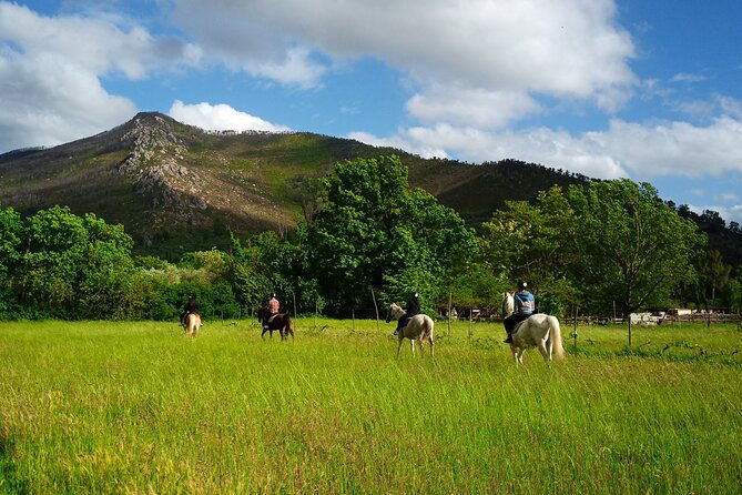 2-hour-horseback-ride-for-experts-in-valgraziosa-pisa