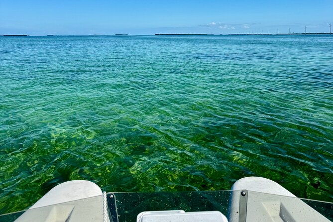 2-hour-key-west-mini-catamaran-eco-tour