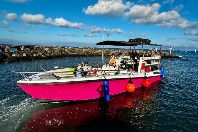 2-hour-prime-time-maui-whale-watching