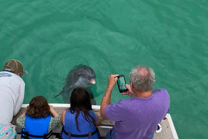 2-hour-private-dolphin-sightseeing-tour