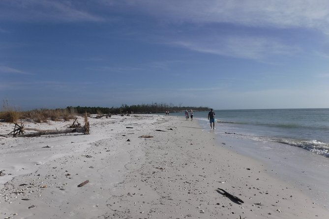 2-hour-shelling-boat-tour-in-the-10000-islands