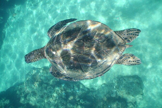 2-hour-snorkeling-adventure-in-kauai-2