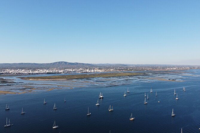 2-hours-boat-tour-fishermens-route-in-ria-formosa