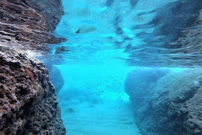2-hours-elafiti-islands-private-tour-by-barracuda-545