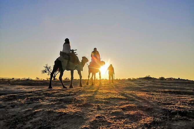 2-hours-of-camel-safari-in-cappadocia