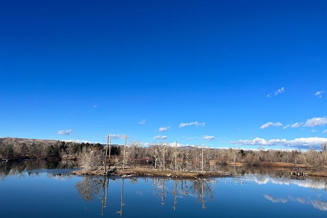 2-hours-of-mindful-bird-watching-near-denver