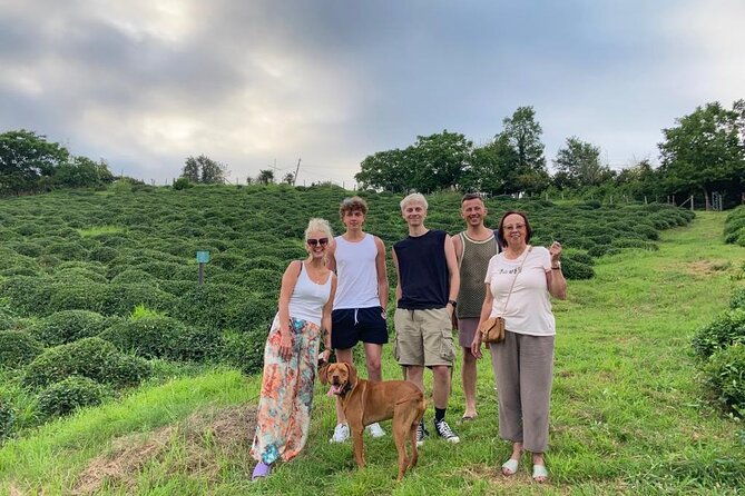 2-hours-tea-house-and-tea-garden-trip-in-ozurgeti-georgia