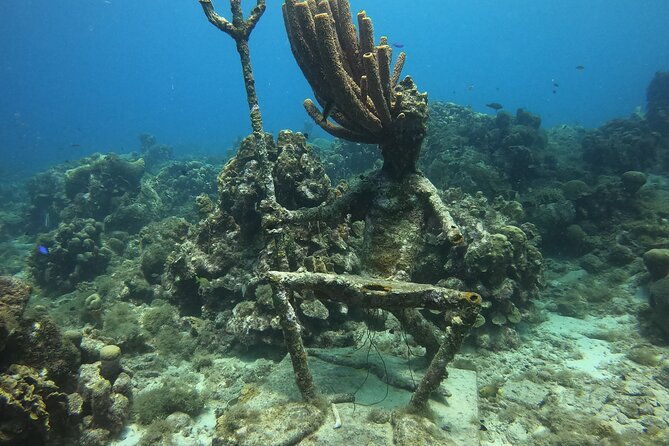 2-tank-guided-shore-dive-in-curacao