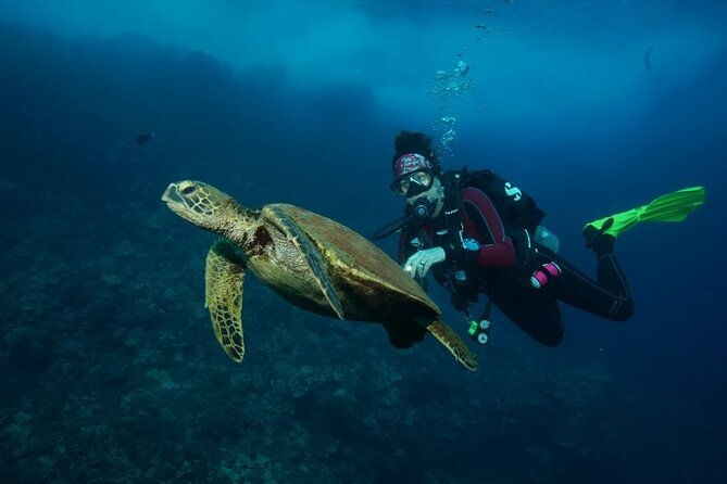2-tank-maui-turtle-scuba-dive-or-snorkel-boat-tour-2
