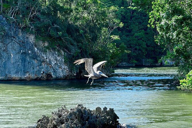 2in1-los-haitises-national-park-yanigua-waterfall-spa