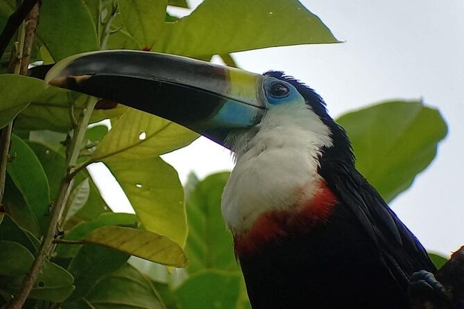 3-day-eco-sustainable-private-tour-manu-national-park