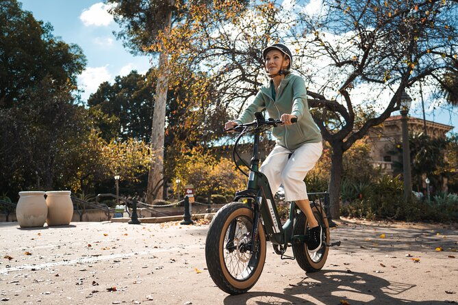 3-day-electric-bike-rental-upto-4-ebikes-broward-county